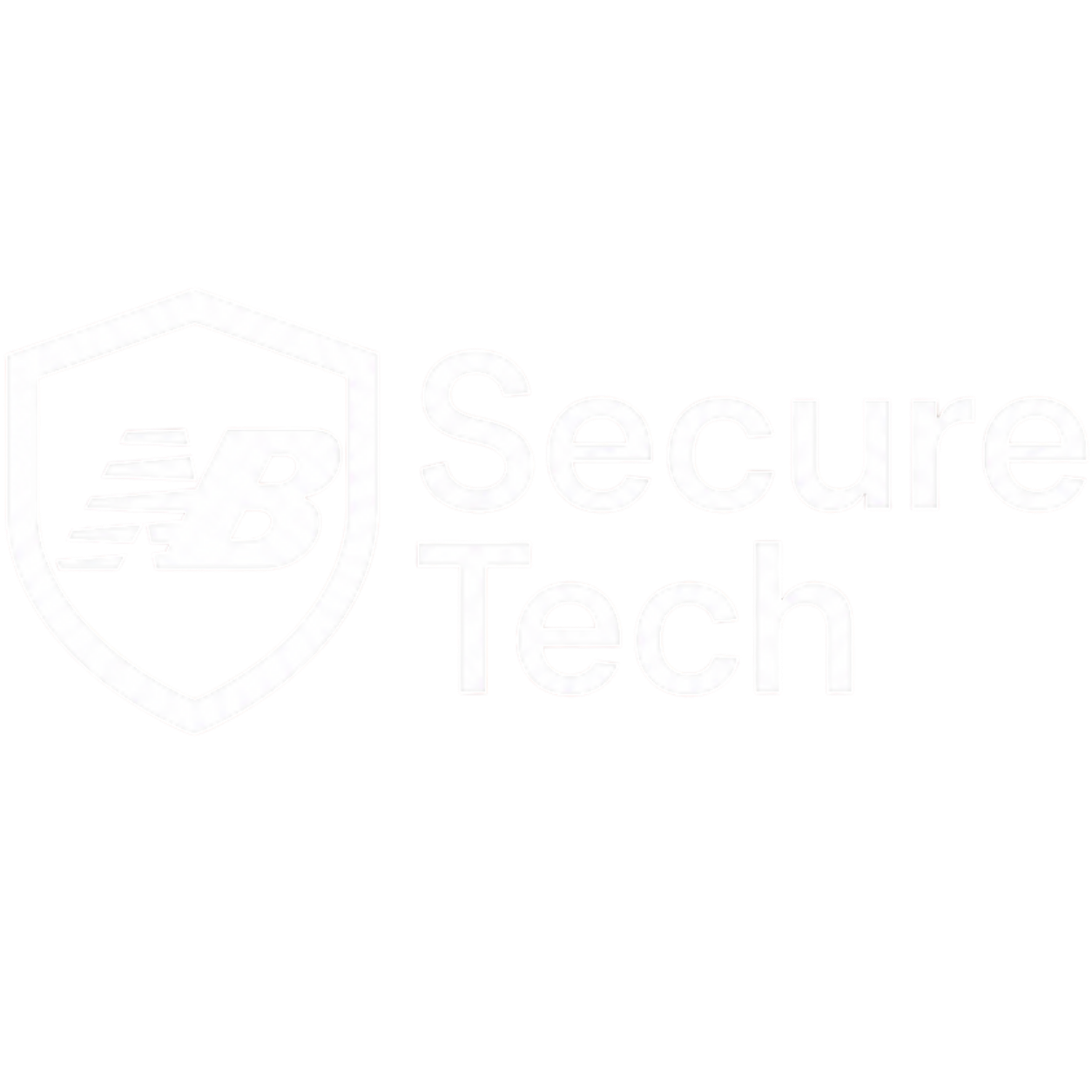 SecureTechNB Logo